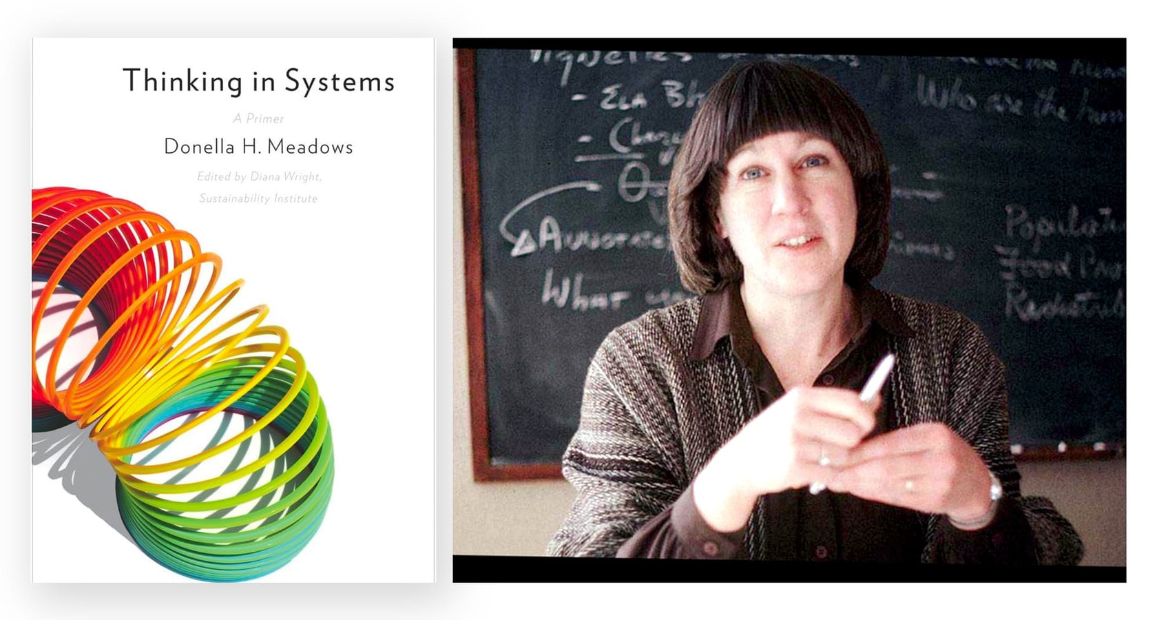 Thinking in Systems: A Primer by Donella H. Meadows