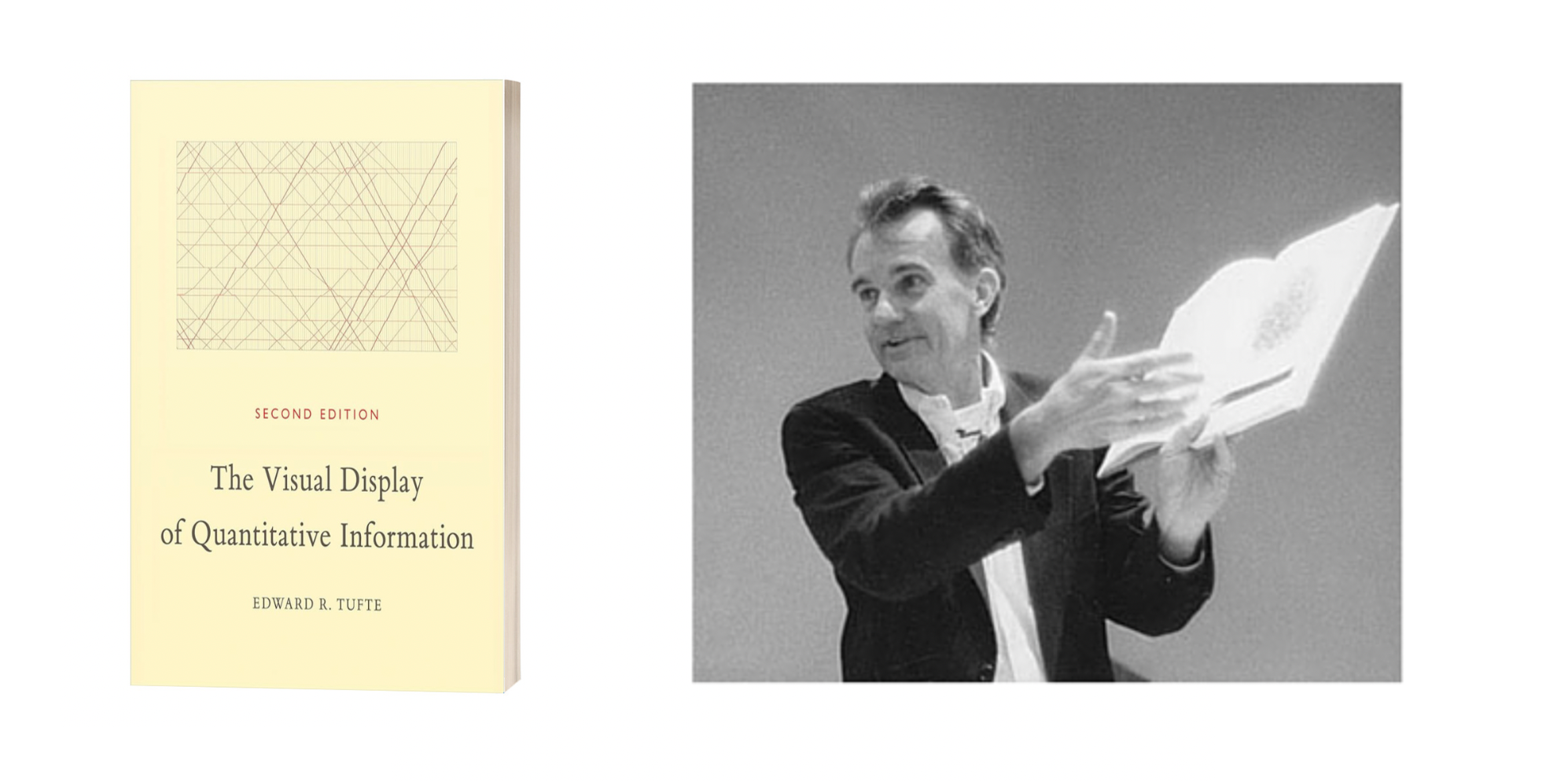 The Visual Display of Quantitative Information by Edward Tufte